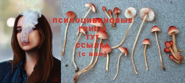 наркотики Бородино