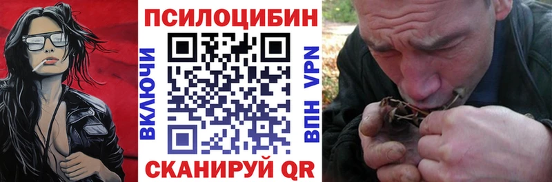 цены наркотик Дзержинский Псилоцибиновые грибы GOLDEN TEACHER